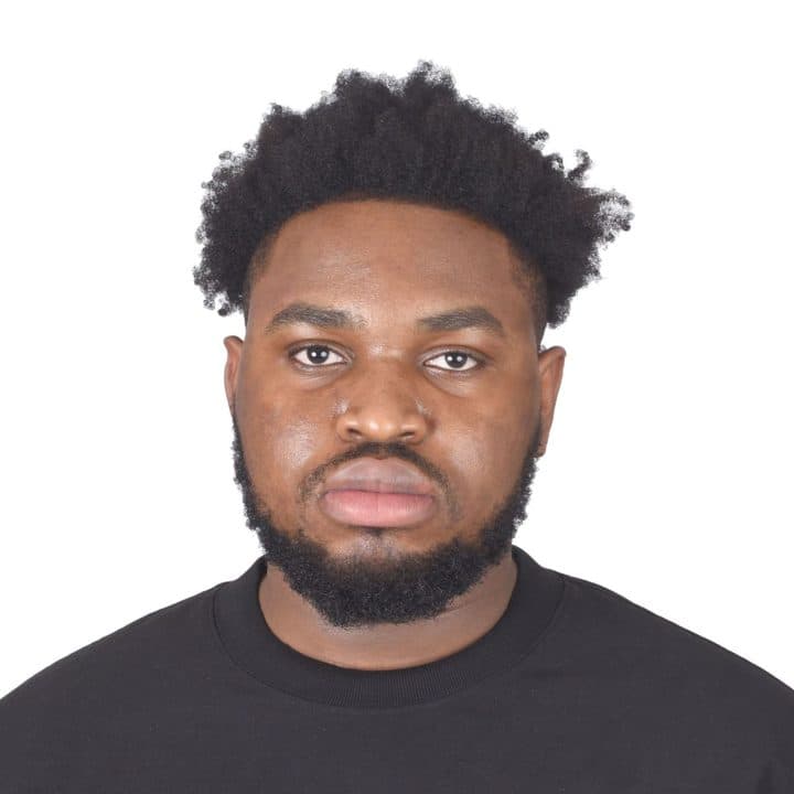 Chukwuemeka Kingsley, AI developer